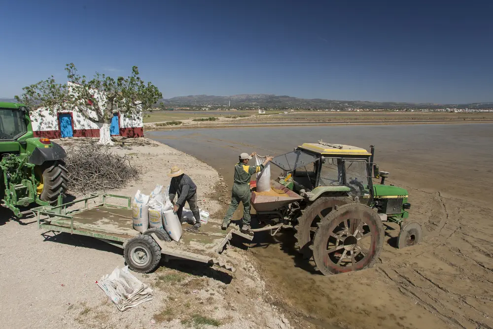 crisis ayudas agricultores arroz Delta del Ebro bloqueadas 2025