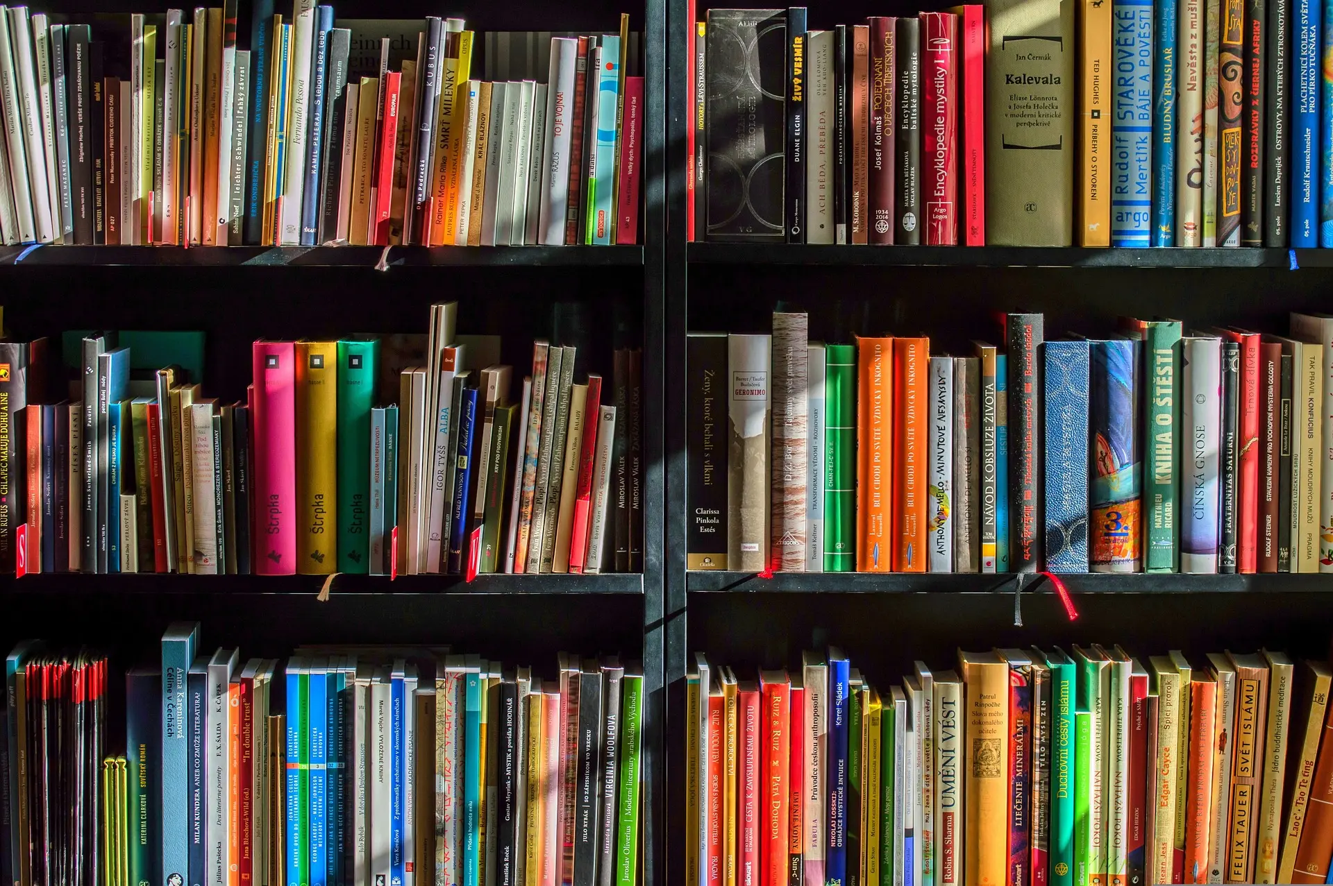 tiranía del algoritmo en la literatura
