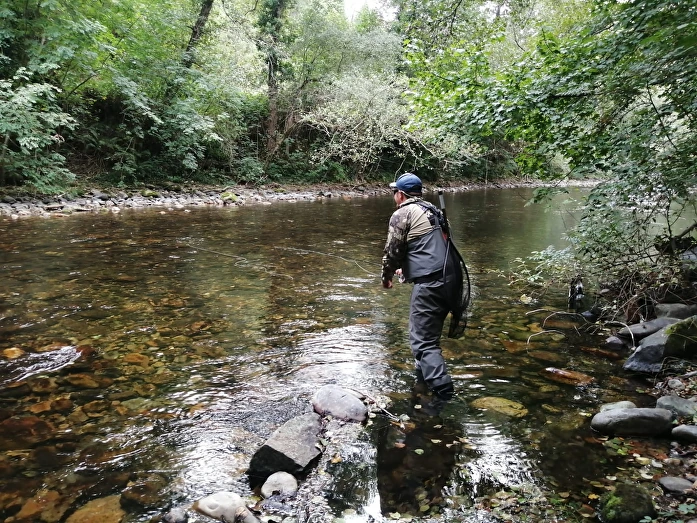 Asturias sin campanu y desaparición del salmón atlántico