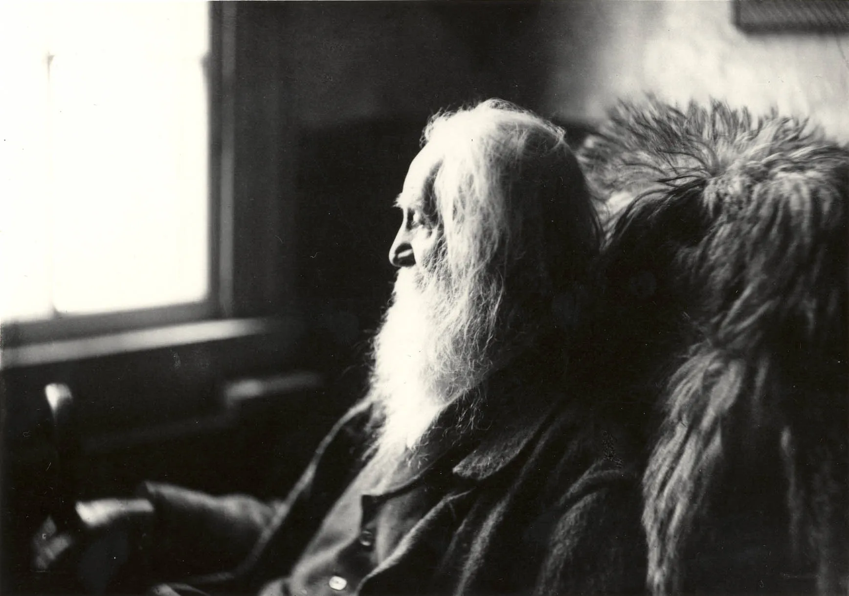 Walt Whitman y la naturaleza