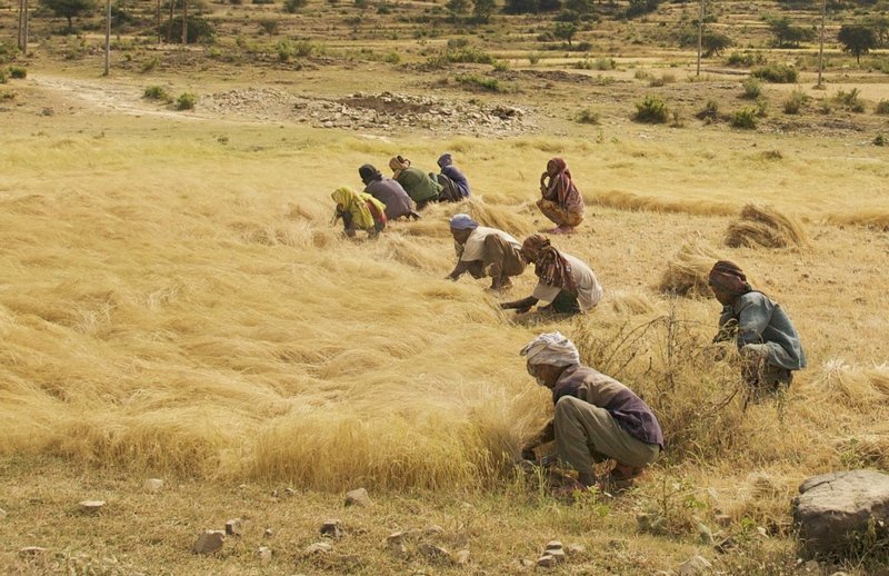 Costos mundiales de la guerra contra Irán