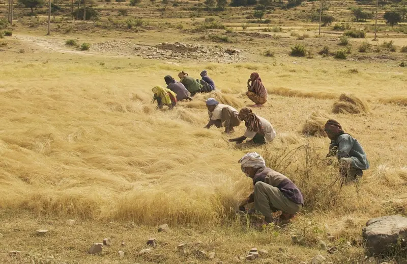 Costos mundiales de la guerra contra Irán